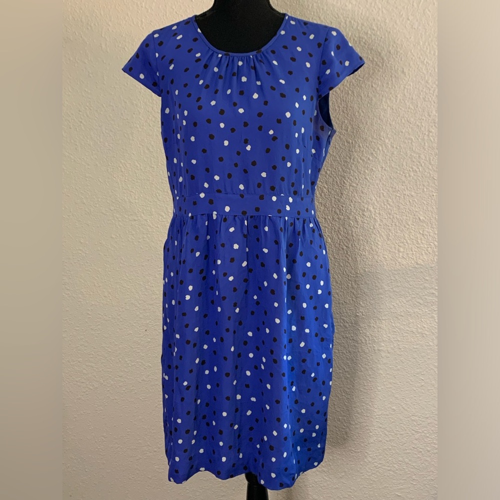 J. Crew Silk Dress